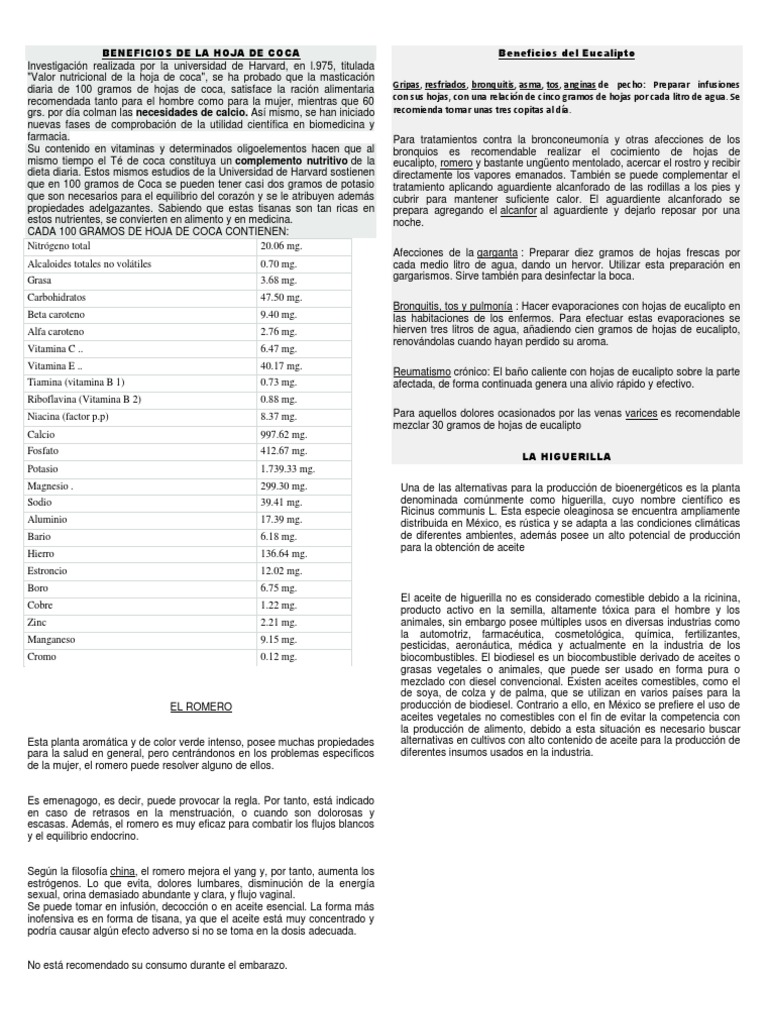 Beneficios de La Hoja de Coca PDF Petróleo
