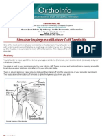 Shoulder Impingementrotator Cuff Tendinitis-Orthoinfo - Aaos