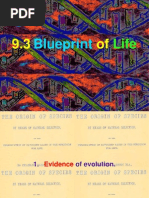 Download HSC Biology Blue Print of Life by Jeffrey Avacado Liu SN149274814 doc pdf