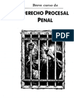 DerechoProcesalPenal Libro 2003