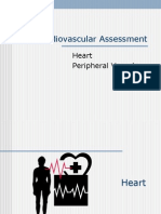 Cardiovascular Assessment