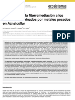 Fitorremediacion a Suelos Contminados