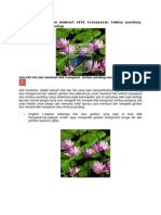 Download Cara Edit Foto Dan Membuat Efek Transparan Tembus Pandang Menggunakan Photoshop by Adalar Dedi SN149293512 doc pdf