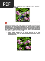 Download Cara Edit Foto Dan Membuat Efek Transparan Tembus Pandang Menggunakan Photoshop by Adalar Dedi SN149293512 doc pdf