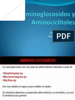 Aminoglocosidos y Aminociclitoles