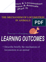 The Mechanism of Locomotion in Animals