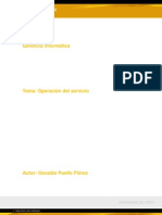 Operación Del Servicio PDF