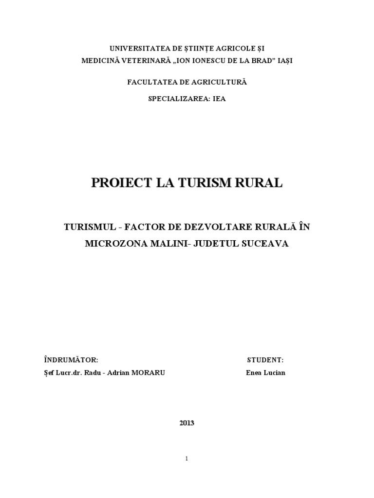 Proiect Turism-Enea Lucian | PDF