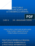 Girlshare - Ro - Curs 4 Fracturile Membrului Brahial