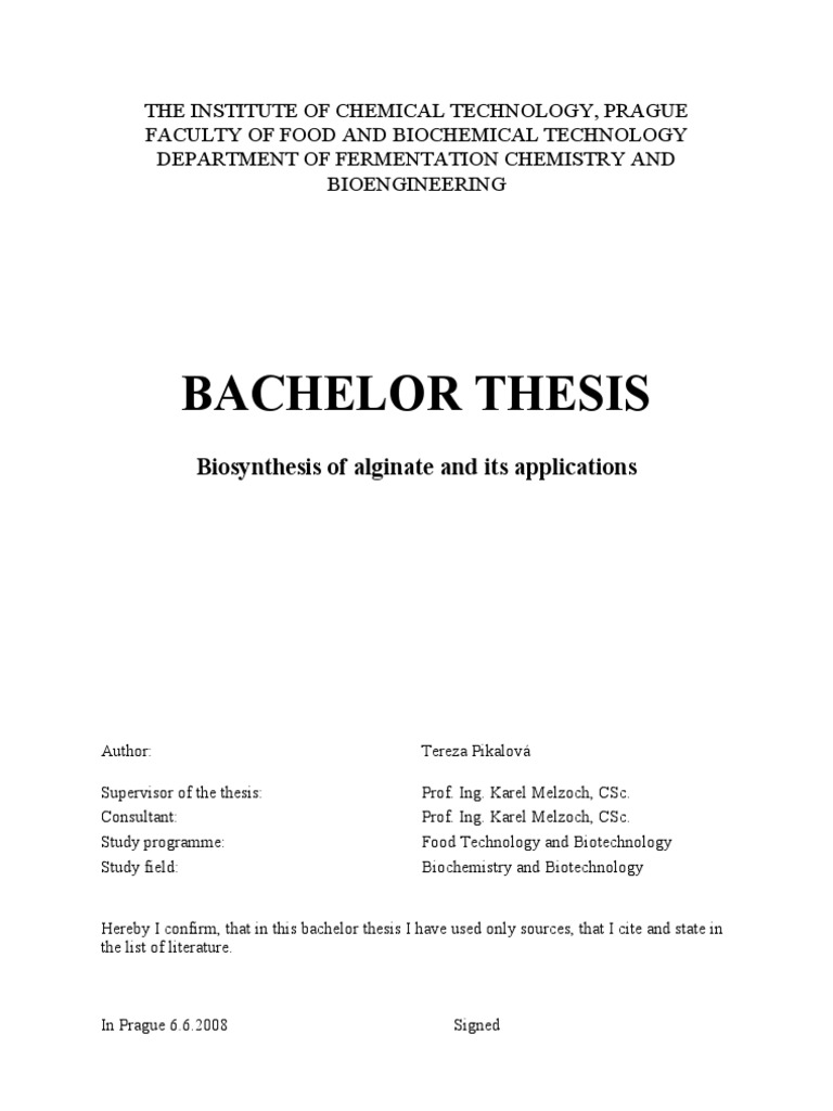 English literature thesis examples picture