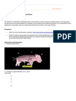 Pig D Lab Report