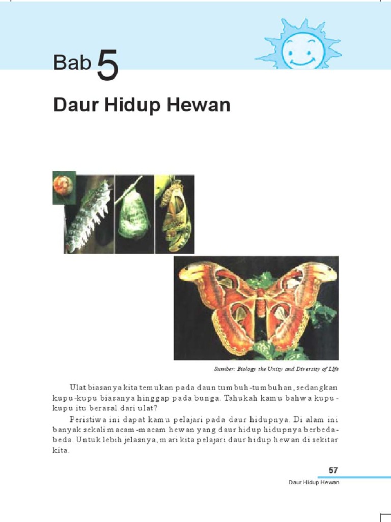 6600 Gambar Daur Hidup Hewan Dan Tumbuhan Terbaik