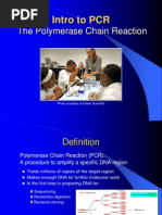 The Polymerase Chain Reaction: Intro To PCR