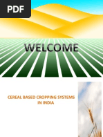 Cereal Based Cropping System in India