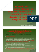 A atuação do Assistente Social na Atenção Básica e a interface com os demais níveis de complexidade - Ines Pelizzarro