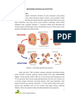 MEKANISME DAN REGULASI APOPTOSIS