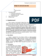 Fisiologia. Contração Muscular