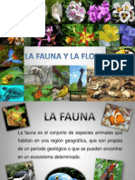 La Fauna y La Flora Diapositivas
