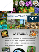 LA FAUNA Y LA FLORA