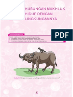 Hubungan Makhluk Hidup Dan Lingkungannya