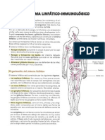 Sistema Linfatico-Inmunológico