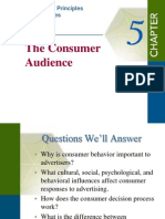 Advertising Principle and Practice Chap 5