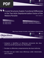 Apresentacao_final.pdf