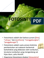 fotosintesis7