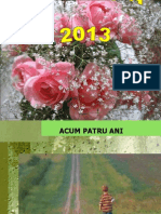 Curs Festiv DPM - 2013