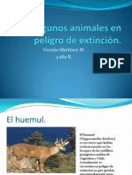 ALGUNOS ANIMALES EN PELIGRO DE EXTINCIÓN