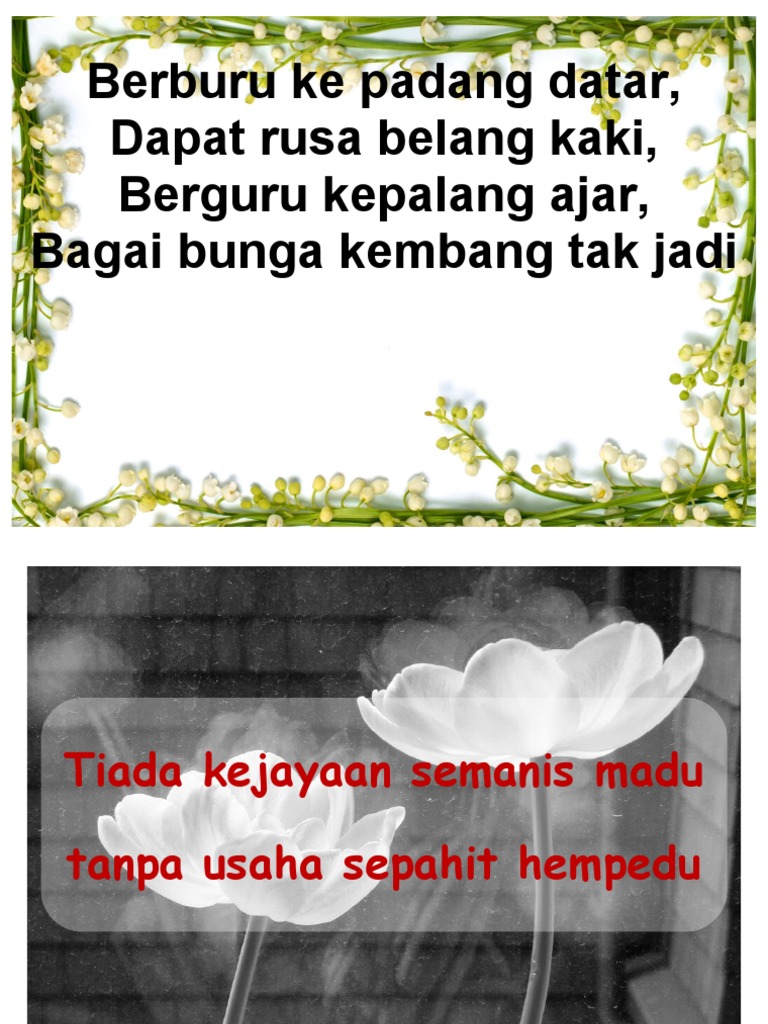 Kata Kata Hikmat 2