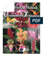 Plantas Ornamentales Tropicales