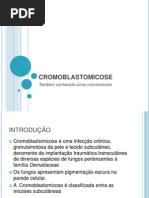 CROMOBLASTOMICOSE.pptx