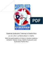 Especial Kyokushin Training in Puerto Rico