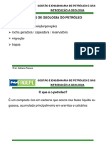 64753991-PETROLEO