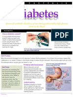 Cell Portfolio Diabetes Tt