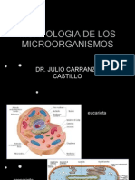 Morfologia de Los Microorganismos