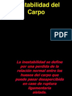 Inestabilidad Del Carpo