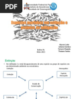 Espécies marinhas em extinção e projetos de mitigação