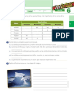 Cie6 Prueba Diagnostica