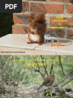 Download Fleur Du Printemp Pps by api-25926556 SN14955930 doc pdf