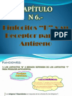 Exposicion-Capitulo 6 Linfocitos