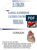 Ciclo Cardiaco 7