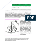 AMINOÁCIDOS INHIBIDORES