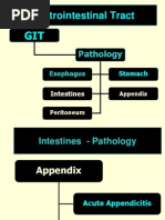 Appendix and Peritoneum