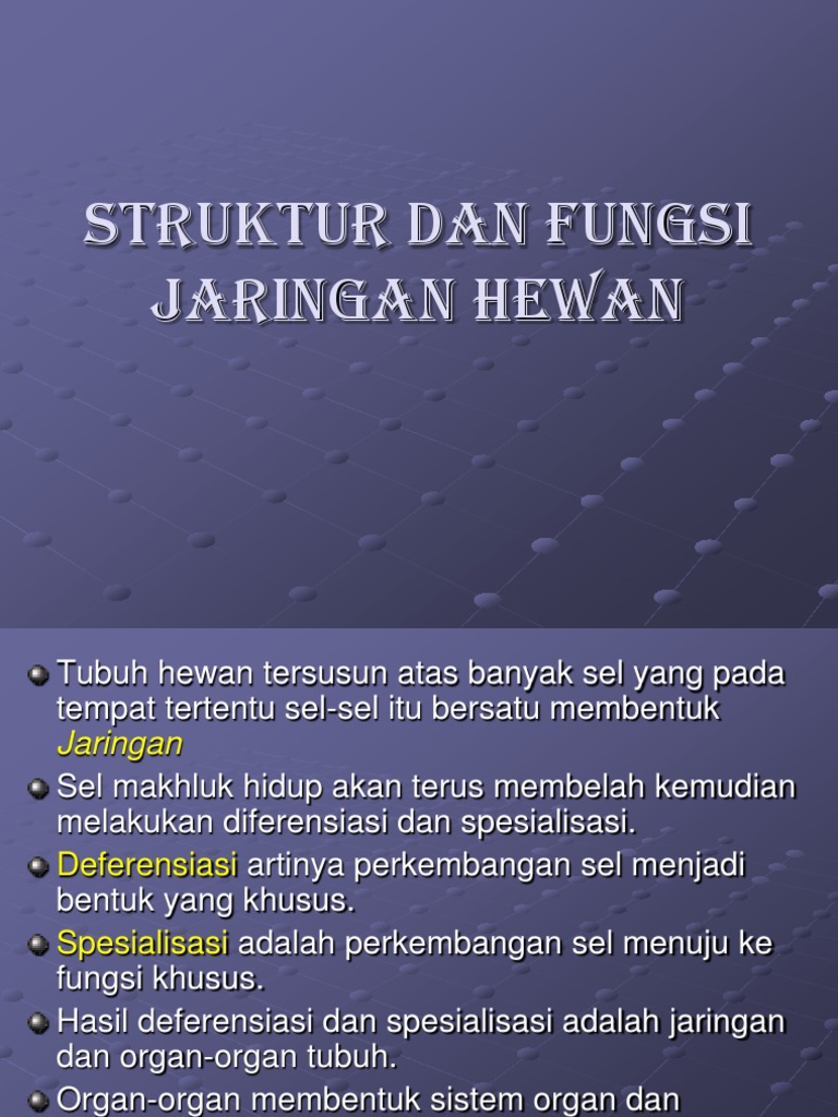 Struktur Dan Fungsi Jaringan Hewan Struktur Dan Fungsi Jaringan Hewan