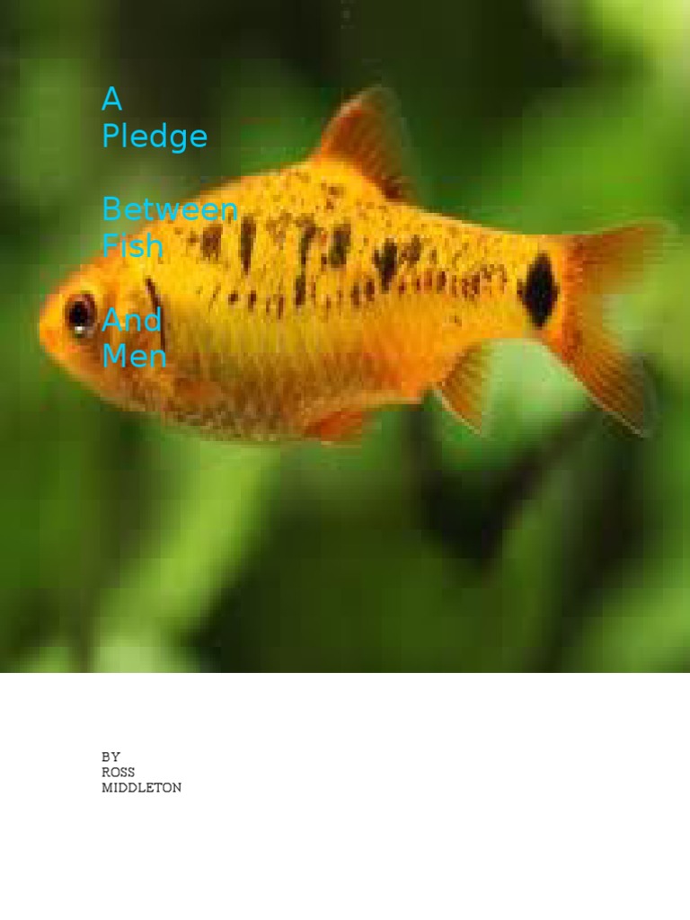 The Fisherman's Wish for Freedom | PDF | Nature