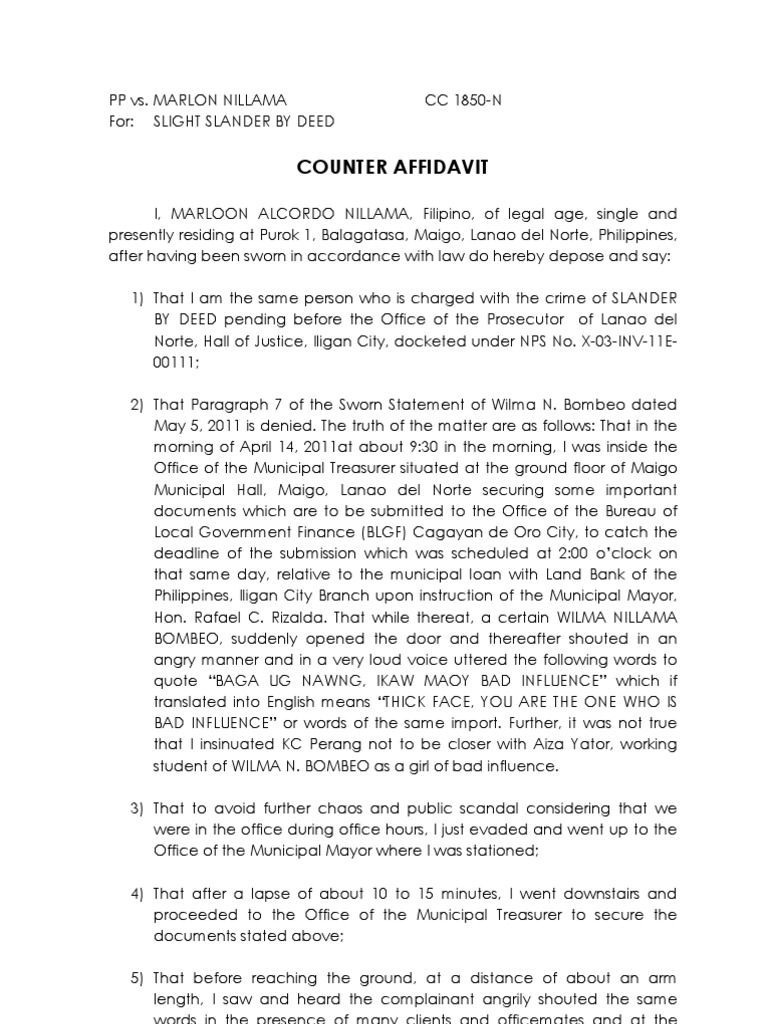 Counter Affidavit SAMPLE  Public Law  Government