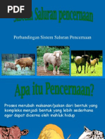 Download Sistem Pencernaan English Version 1 by EthibalLwel ShealLone SN149596046 doc pdf