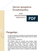 BSE (Bovine Spongiform Encephalopathy) EMIL